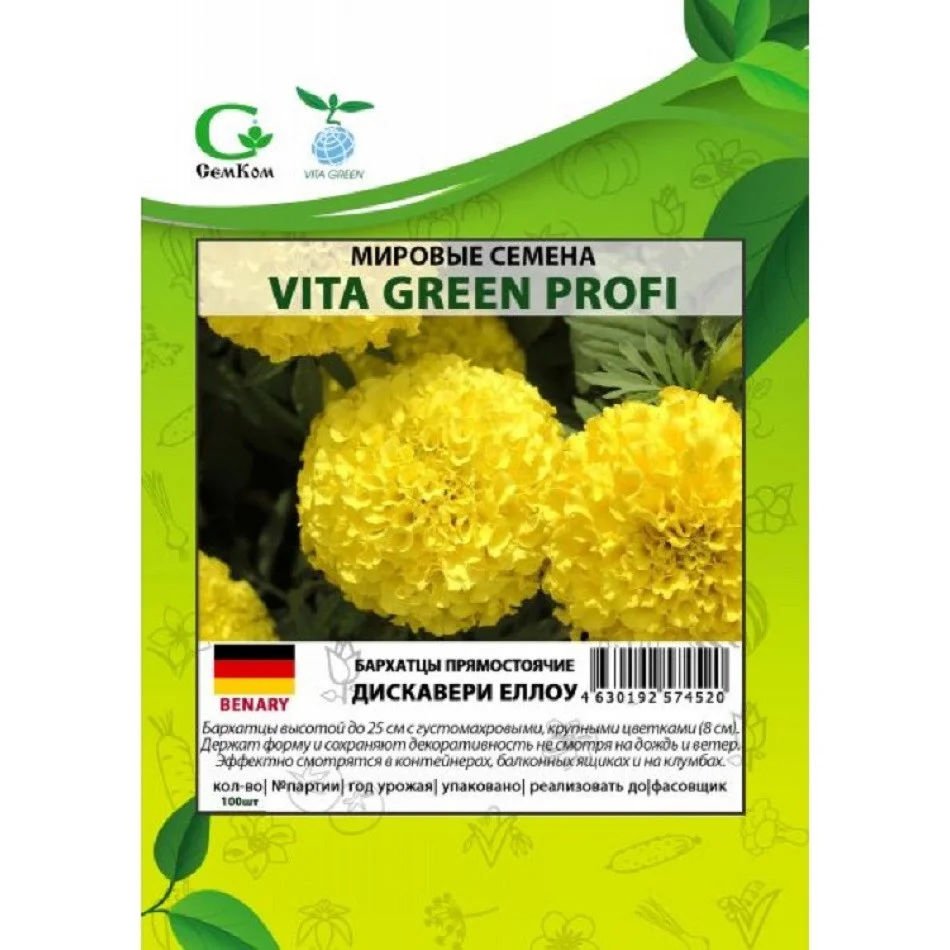 Дискавери Еллоу