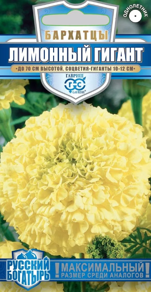 Лимонный гигант