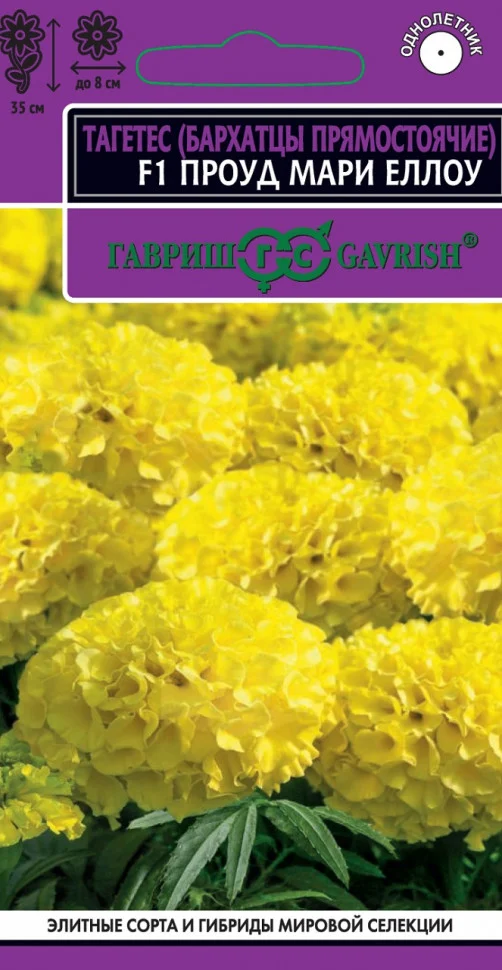 Проуд мари еллоу