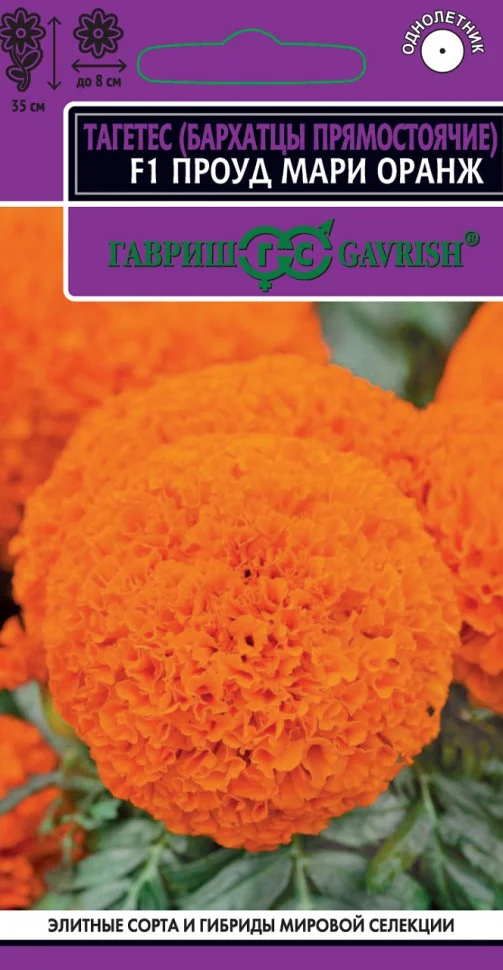 Проуд мари оранж