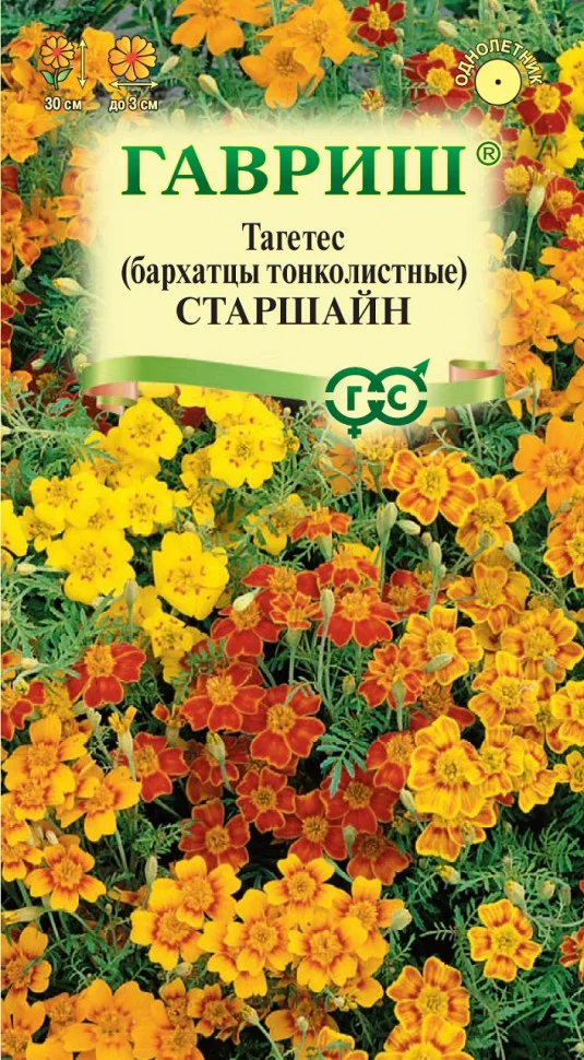 Старшайн