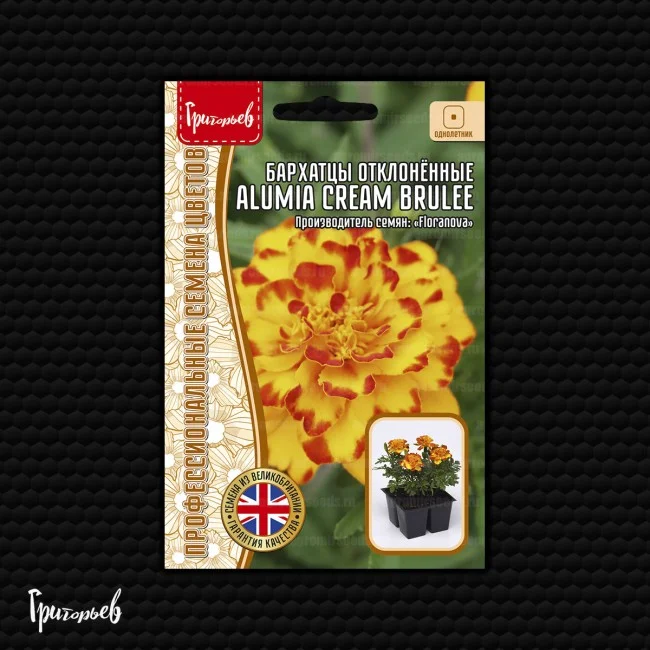 Alumia Cream Brulee