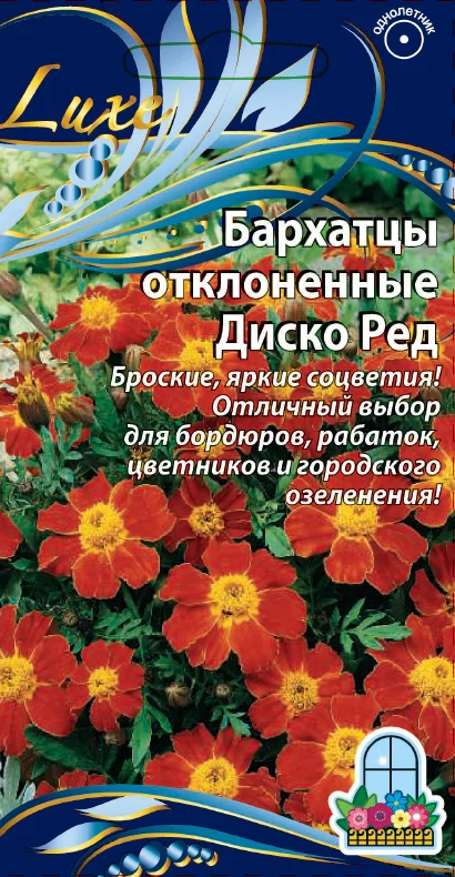 Миниатюра изображения сорта Диско ред