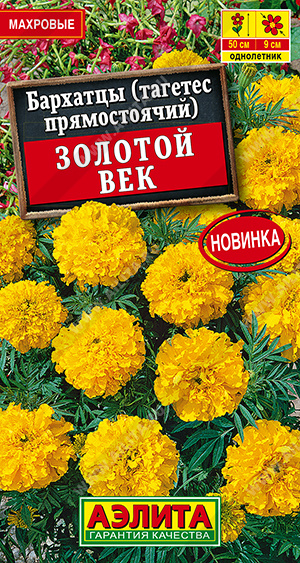 Золотой век