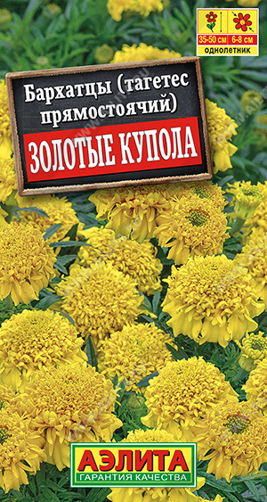 Золотые купола