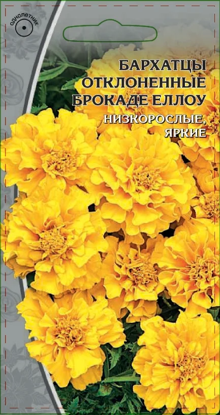 Брокад Еллоу