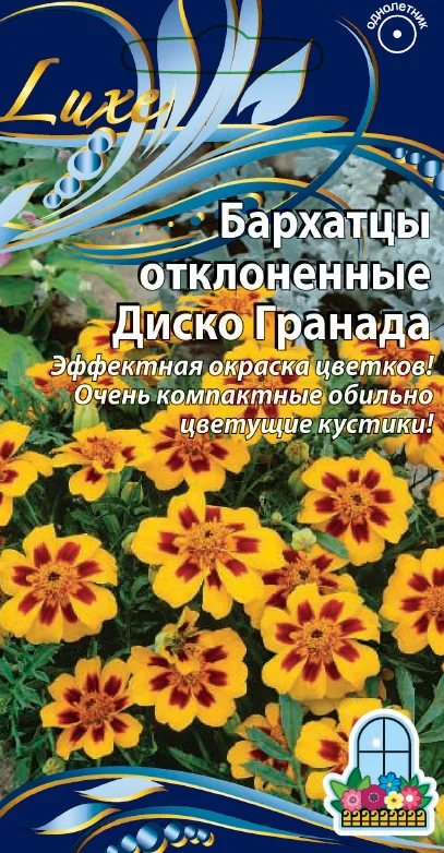 Диско Гранада