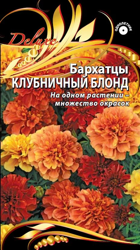 Клубничный блонд