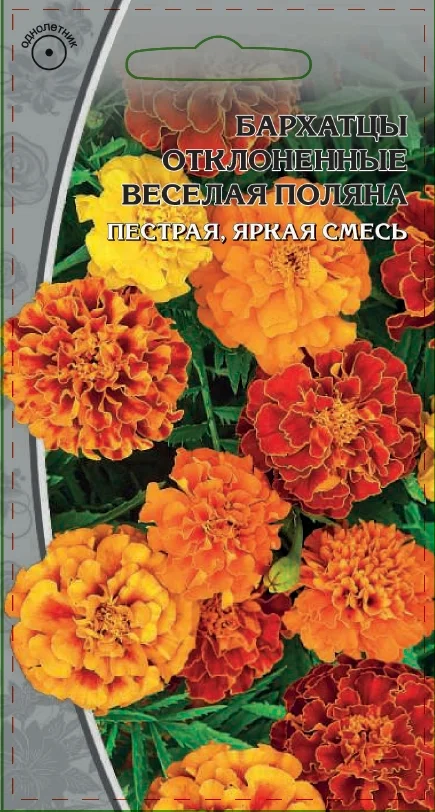 Веселая поляна