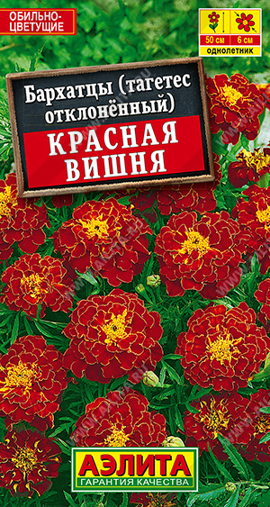 Красная вишня