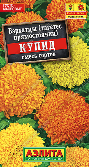 Купид