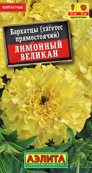 Лимонный великан