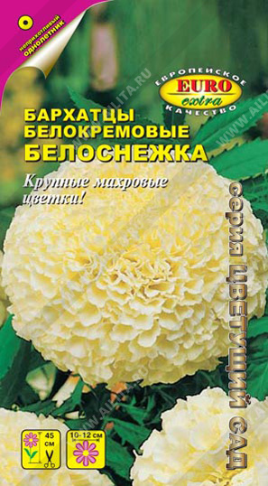 Белоснежка