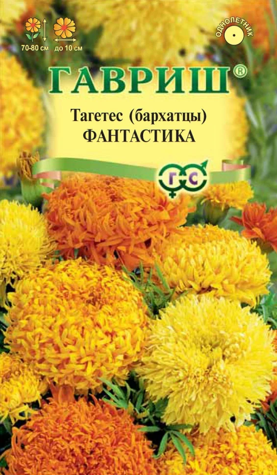 Миниатюра изображения сорта Фантастика