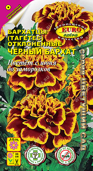 Черный бархат