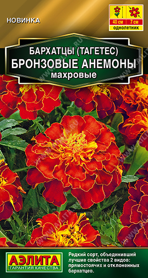 Бронзовые анемоны