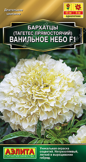 Ванильное небо