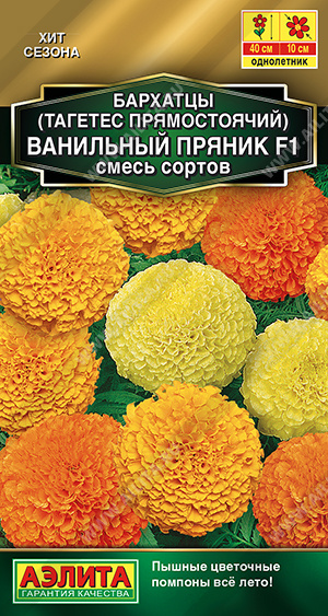 Ванильный пряник