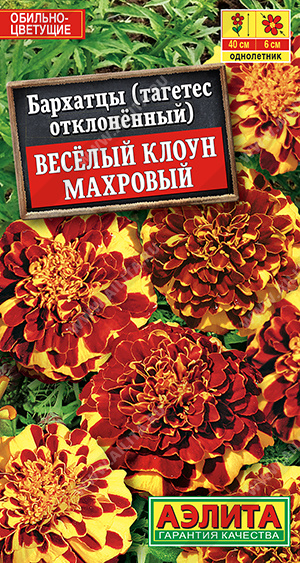 Веселый клоун