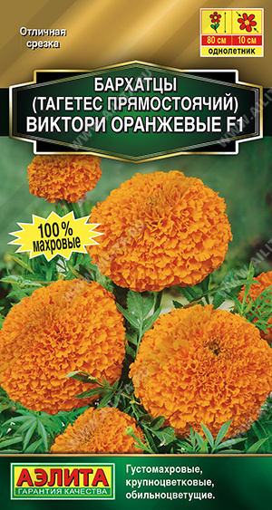 Виктори оранжевые