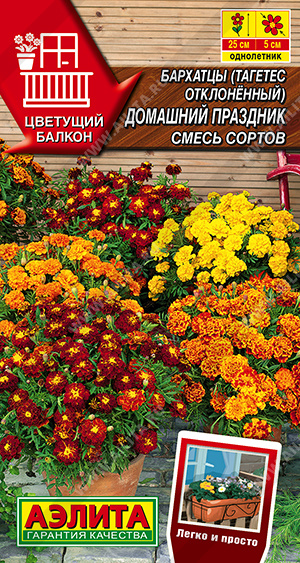 Домашний праздник