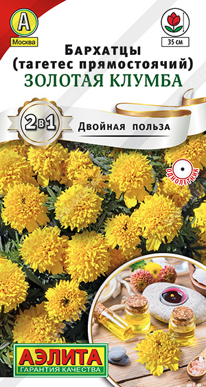 Золотая клумба