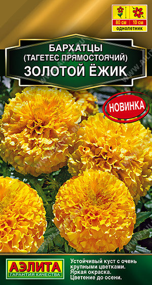 Золотой ёжик