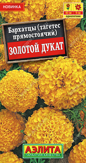 Золотой дукат