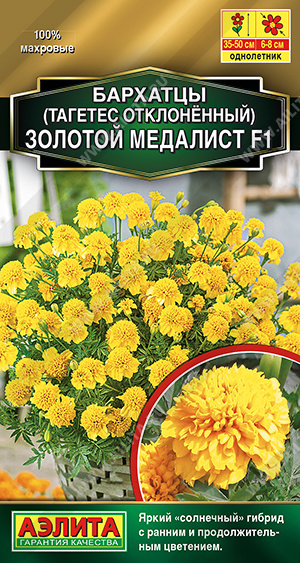 Золотой медалист