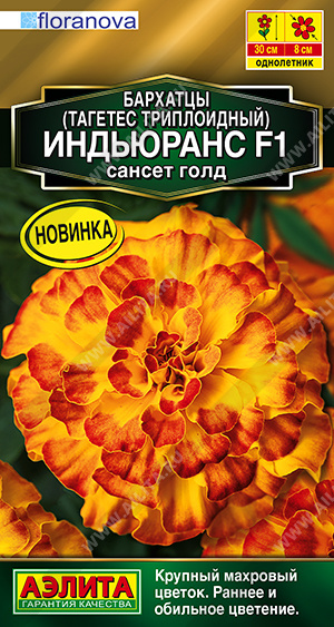 Индьюранс сансет голд