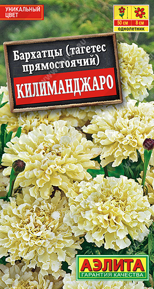 Килиманджаро