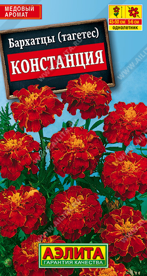 Констанция гибридные