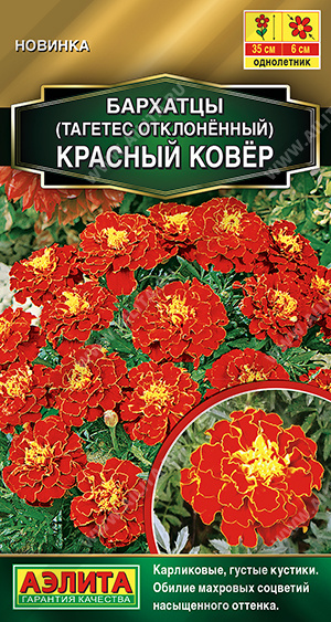 Красный ковер