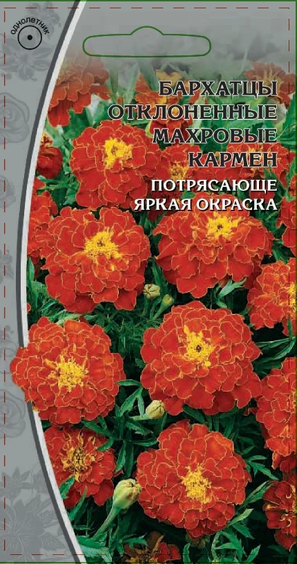 Миниатюра изображения сорта Кармен