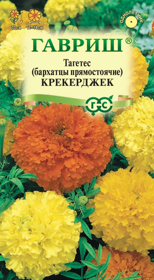 Миниатюра изображения сорта Крэкерджек