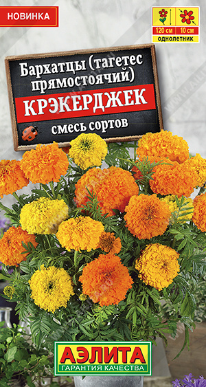 Крэкерджек