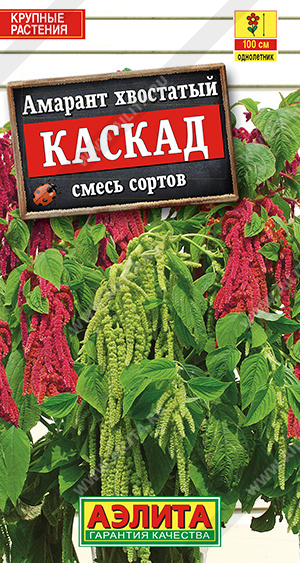 Каскад
