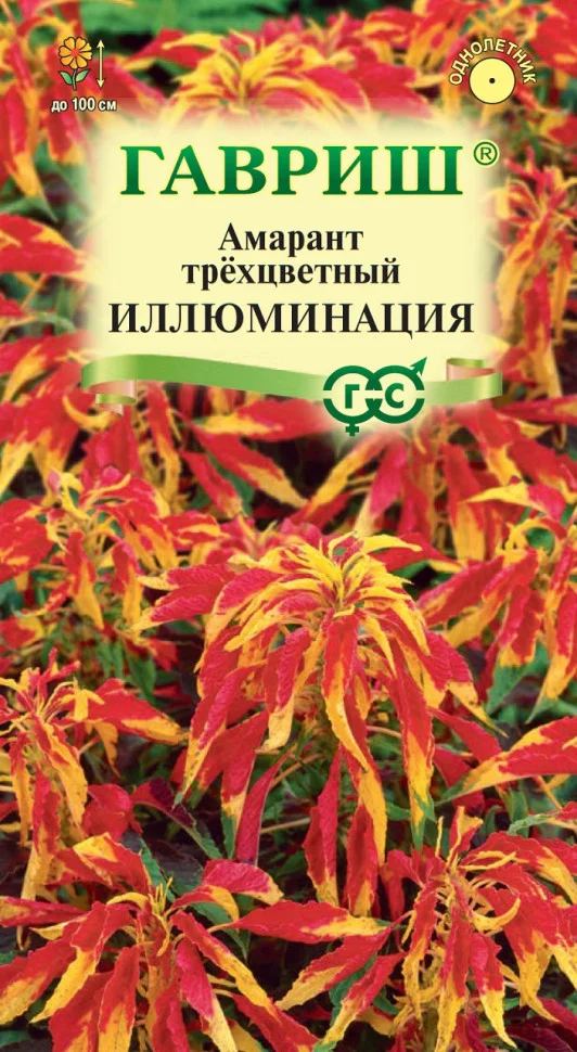 Иллюминация