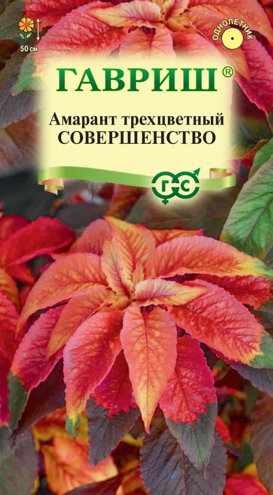 Совершенство