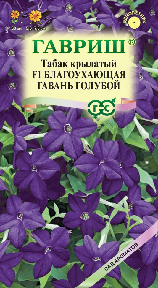 Благоухающая гавань голубой