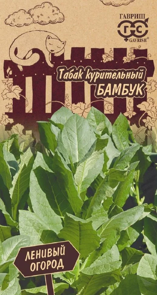 Вирджиния