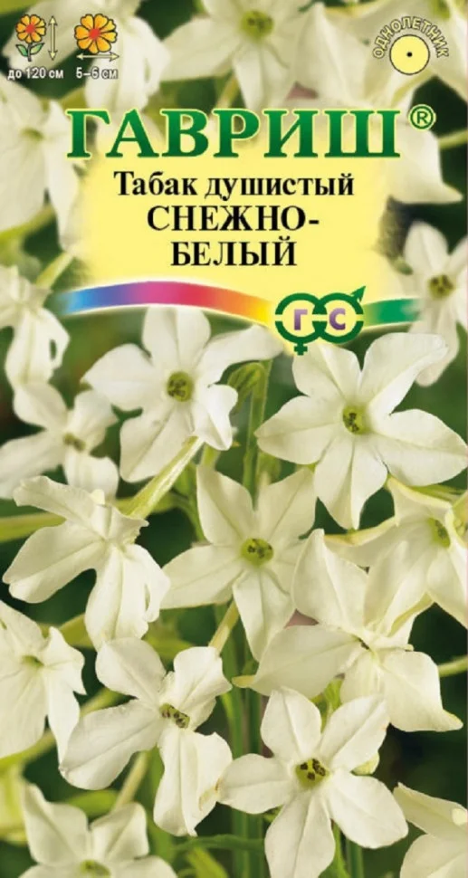 Снежно-белый