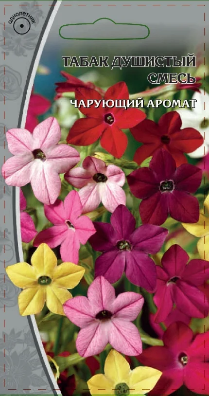 Душистый смесь