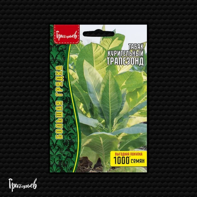 Трапезонд (Trapezond)