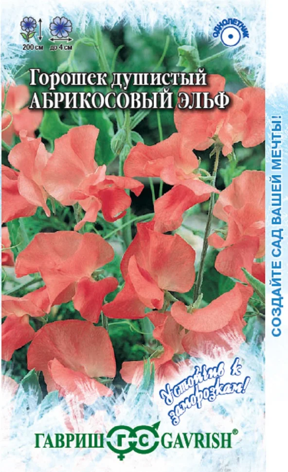 Абрикосовый эльф