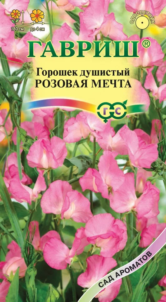 Розовая мечта