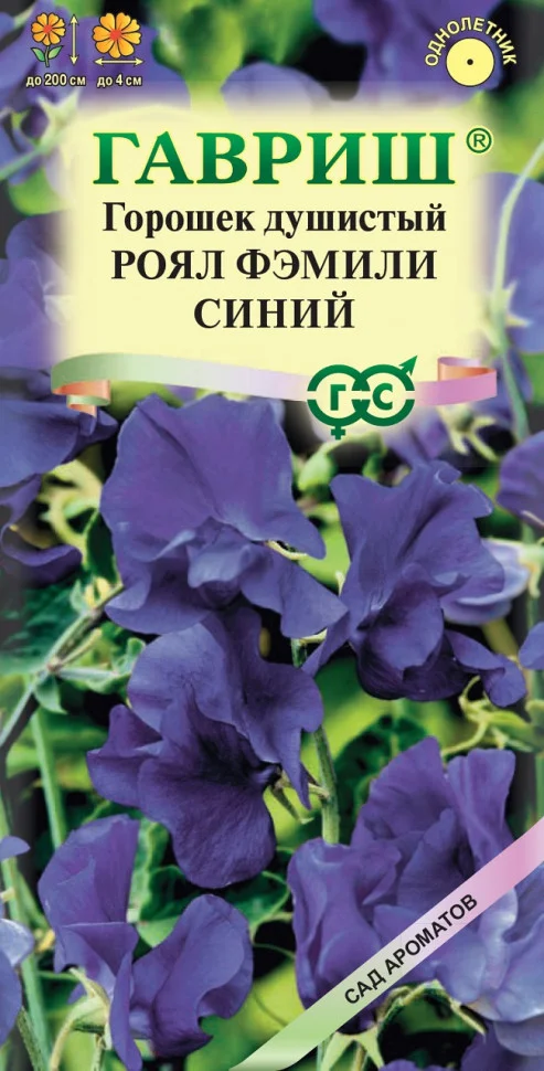 Роял Фэмили синий