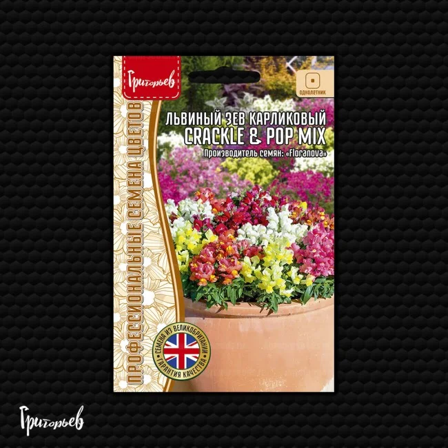 Crackle Pop Mix карликовый