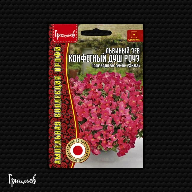 Конфетный Душ Роуз ампельный