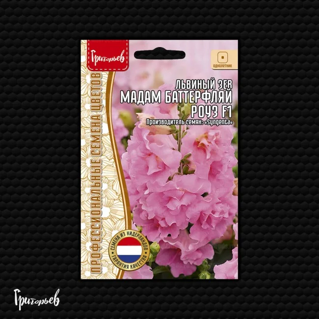 Мадам Баттерфляй Роуз